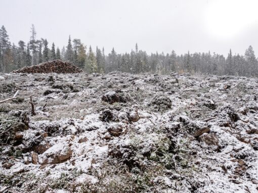 Orpos klimatpolitik är otillräcklig  – därför når inte Finlands regering målen 