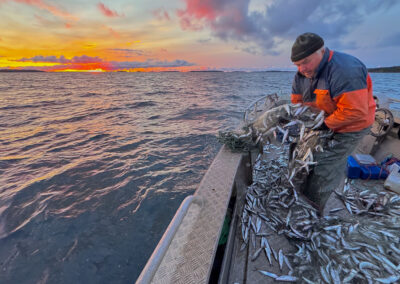 Den sista mohikanen i Nagu 