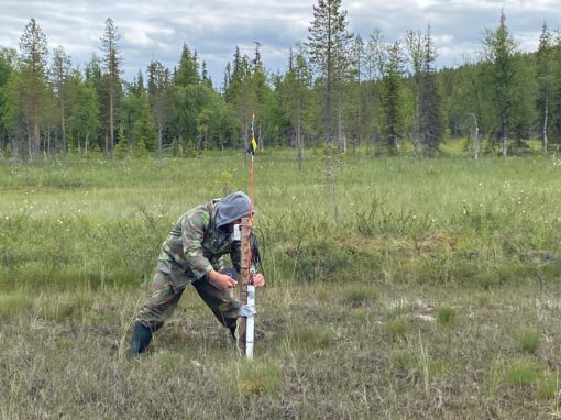 Myrmark i Matorova får erkänsla av Unesco