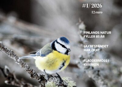 Finlands Natur 1/2026, vår