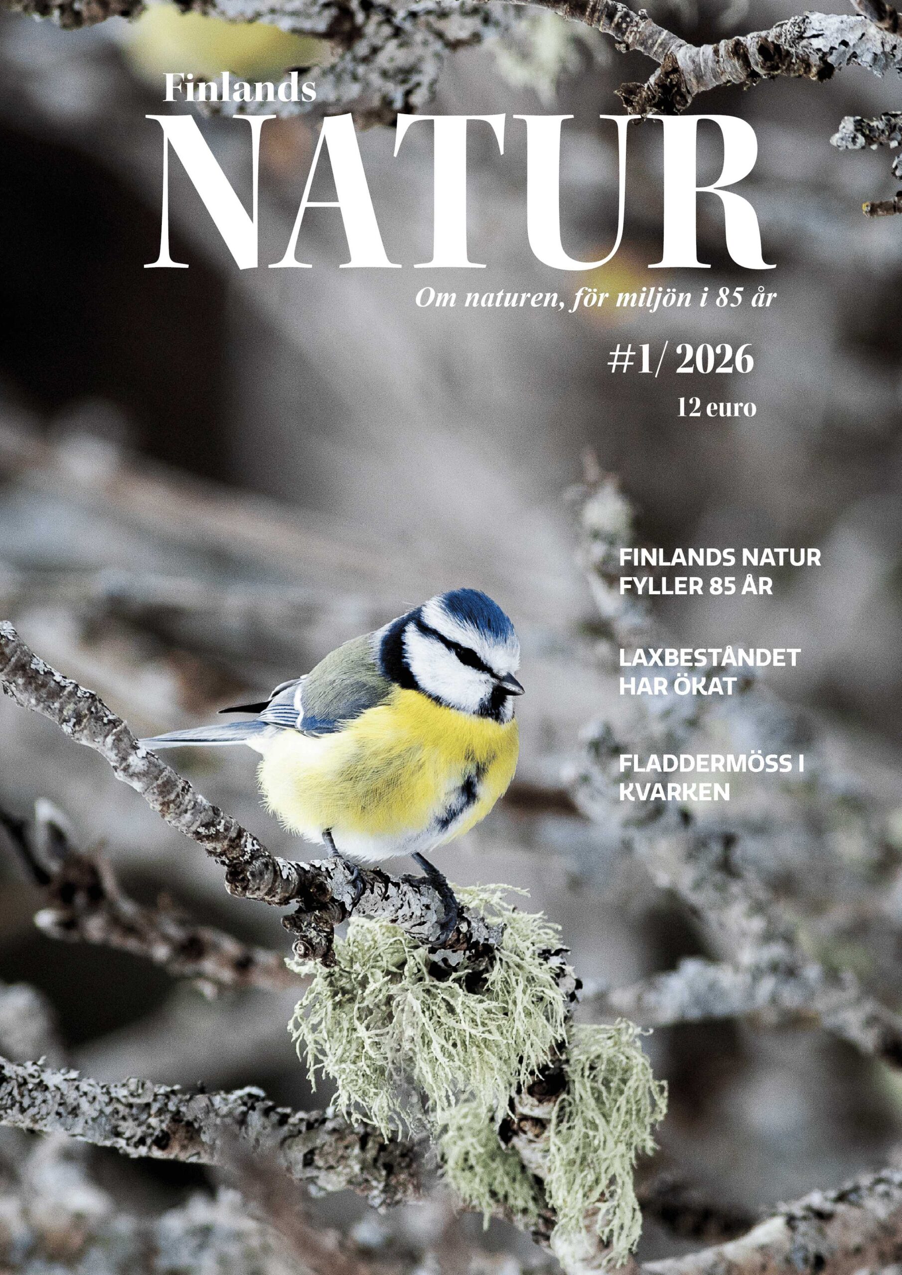 pärmbild, Finlands Natur 2/25