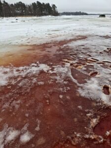 Så här ser det ut på isen vid Drumsö denna vecka. Foto Seppo Knuuttila