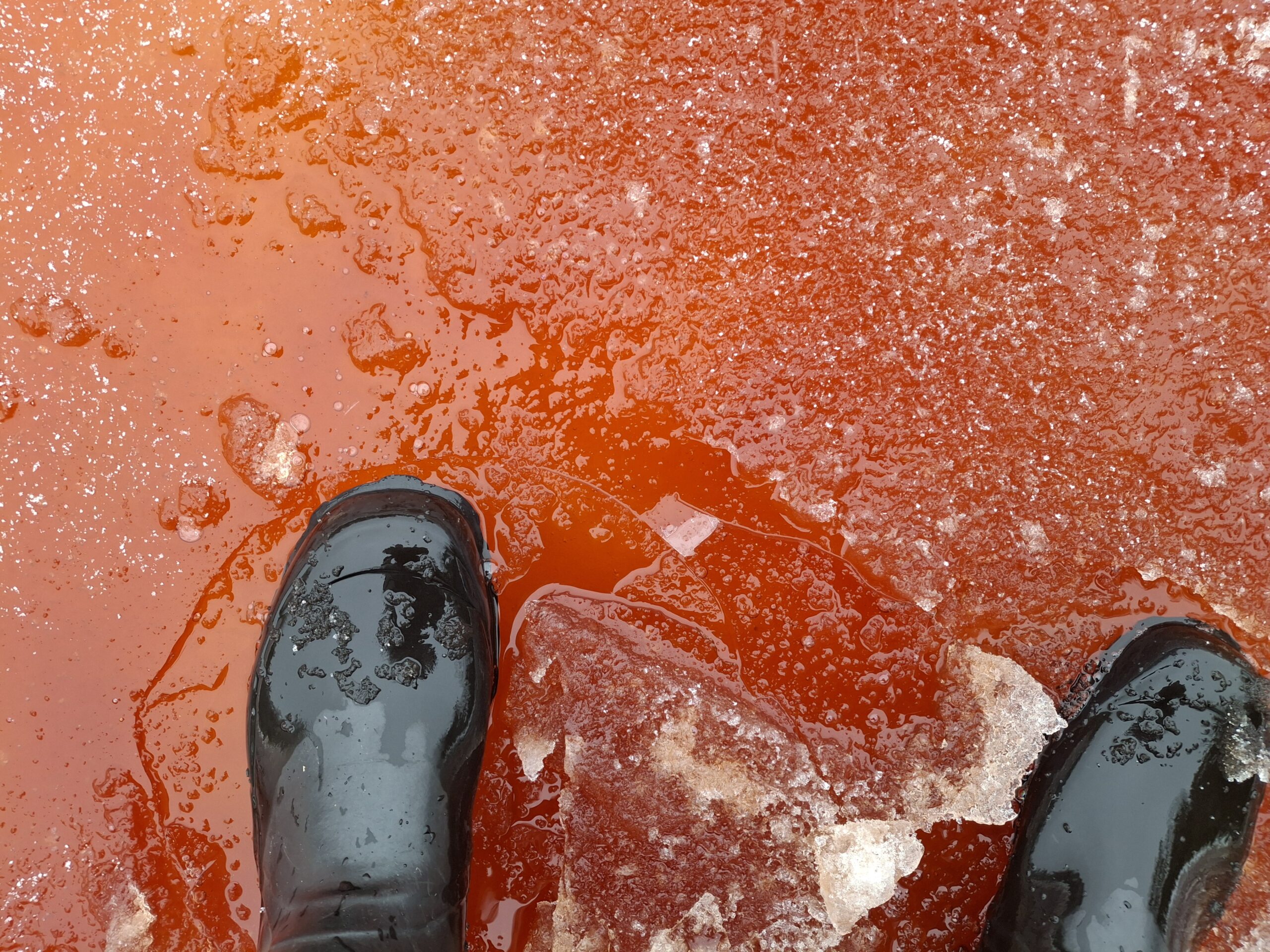 Isen vid Drums&ouml; i Helsingfors har f&auml;rgats r&ouml;d av nedbruten bl&aring;st&aring;ng. Foto: Seppo Knuuttila