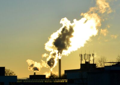 Svenska miljövärstingar avstår från statsstöd för grön omställning