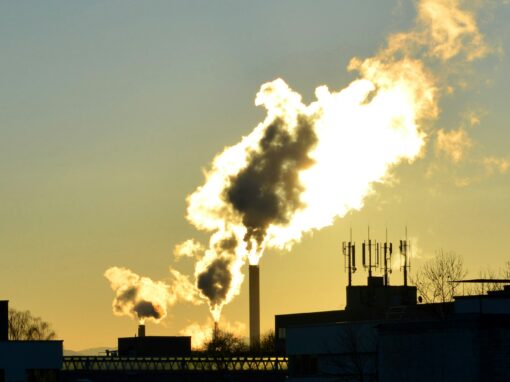 Svenska miljövärstingar avstår från statsstöd för grön omställning