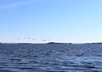 Ny plattform ska skydda Skärgårdshavet