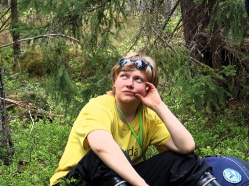 De kartlägger skogar som riskerar att försvinna