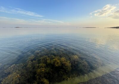 Här är Skärgårdshavets viktigaste havsområden