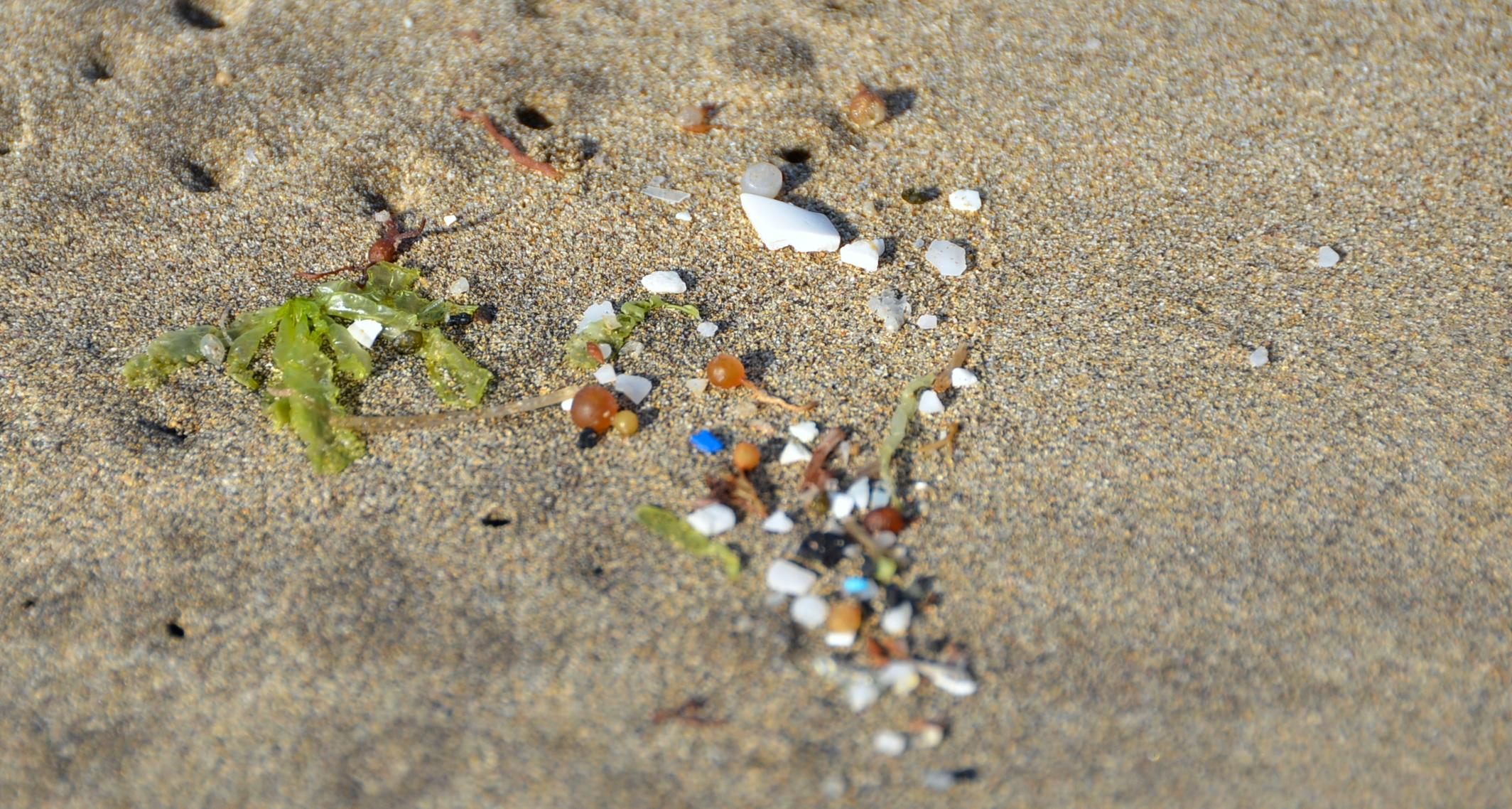 Micro-plastiques_sur_la_plage_de_Famara_aux_Canaries_(Ifremer_00377-48871_-_208)